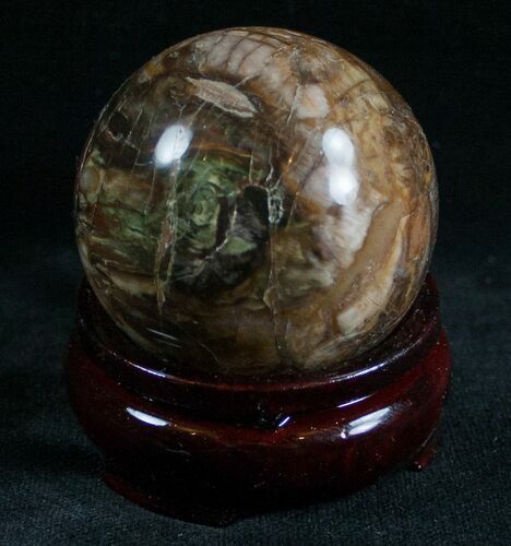 Colorful Petrified Wood Sphere #6799